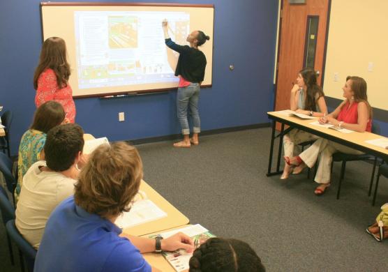 Talk English Schools 語言學習
